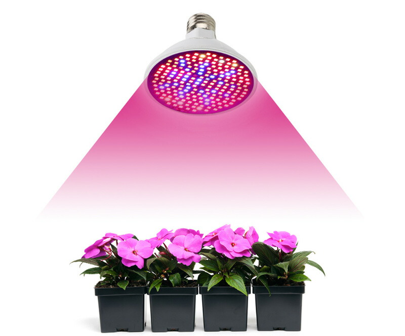 楽天市場】植物育成ライト led 16灯 ランプ ソケット セット 送料無料