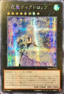 ☆アジア☆照耀の光霊使いライナ【プリズマティックシークレット