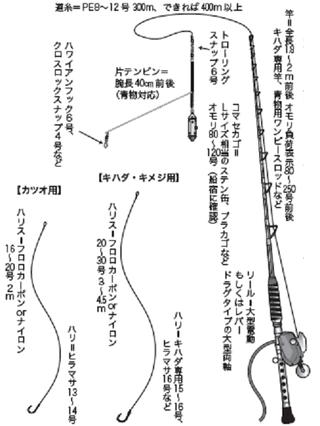 コマセ釣り解禁！相模湾のキハダ・カツオ入門