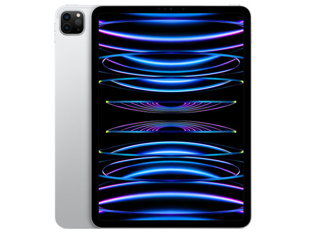 Apple iPad Pro 11インチ 第4世代 Wi-Fi 512GB 2022年秋モデル MNXH3J