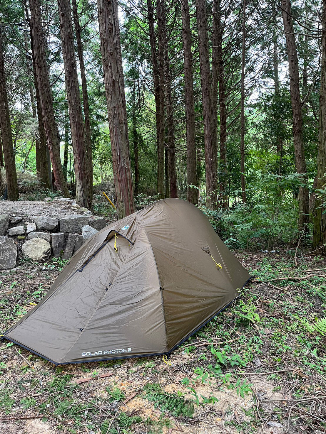 TERRA NOVA Solar Photon 2 テラノバ ソーラーフォトン2 日本別注