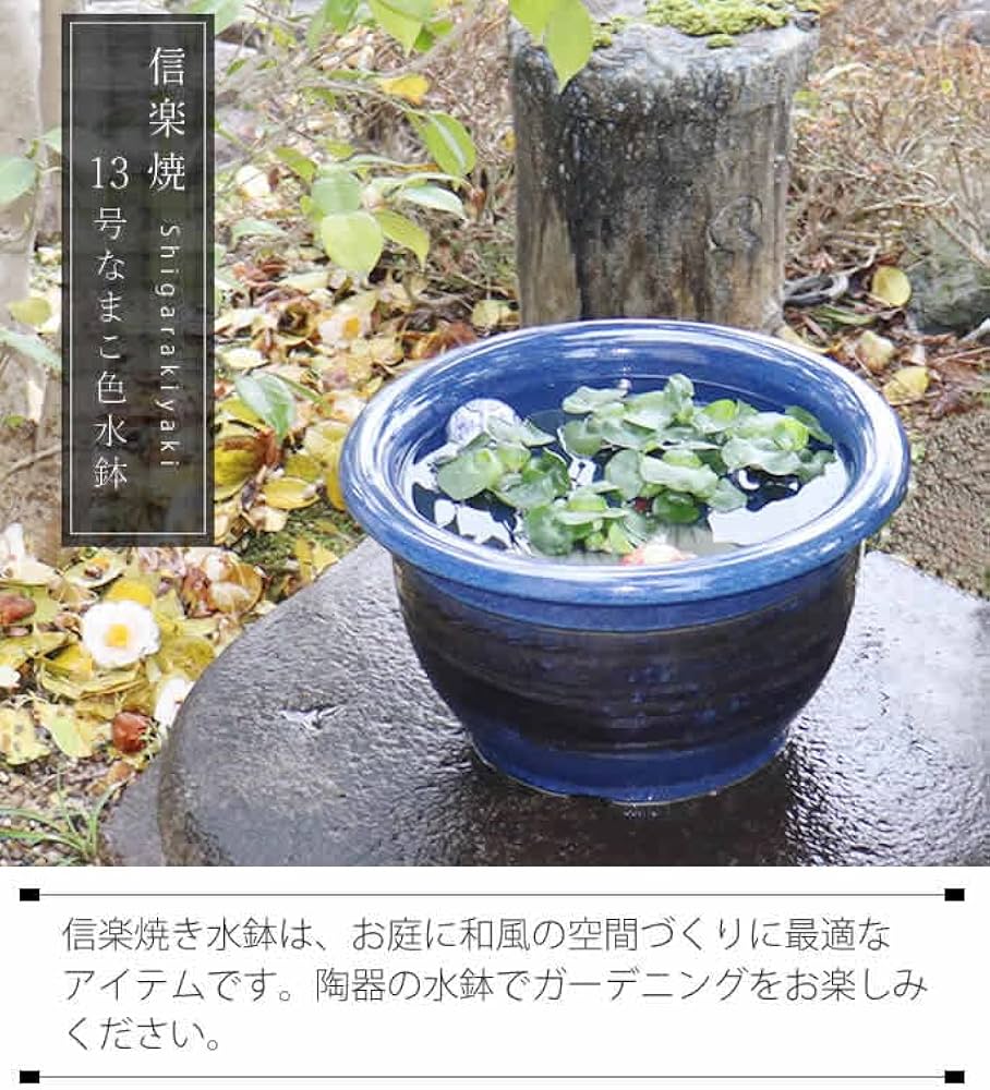 61SZLhWAKTL._AC_UF1000,