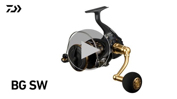 Amazon | ダイワ(DAIWA) ショアジギング スピニングリール 23BG SW