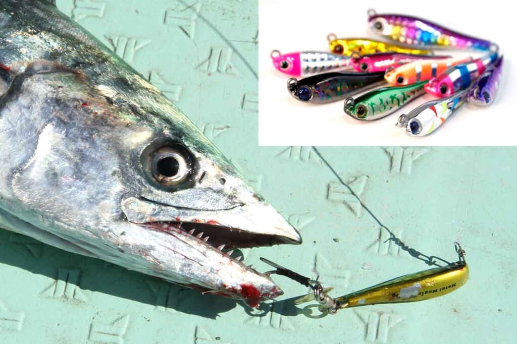 もはやサワラのエサ！】『メタルマジックTG（アクアウェーブ）』に全国